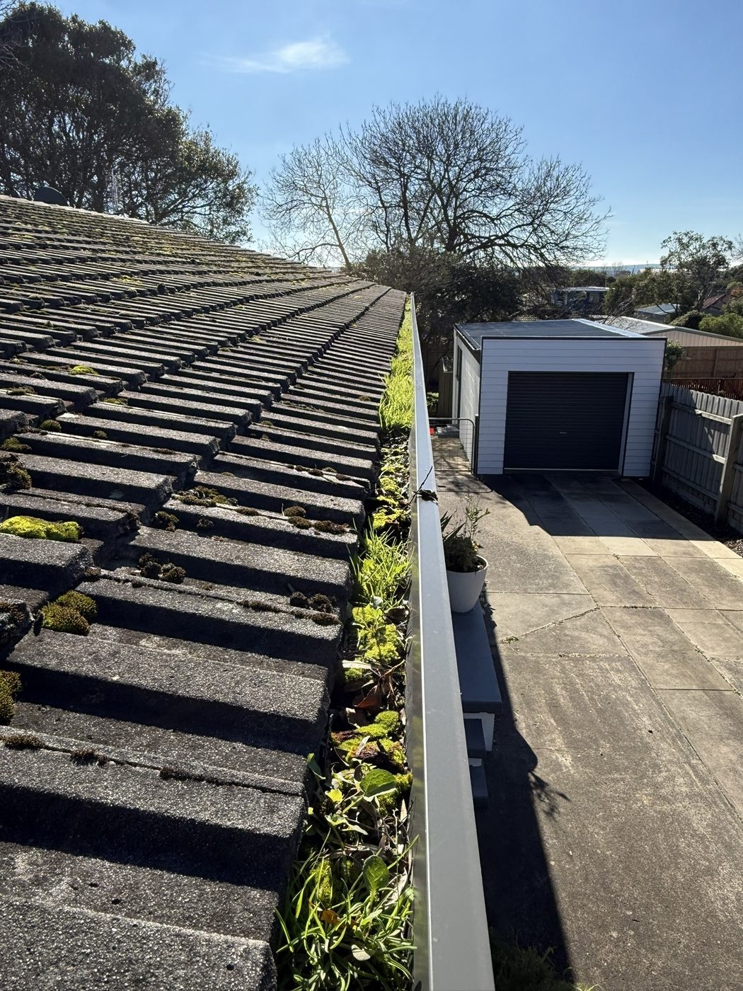 Gutter before cleaning