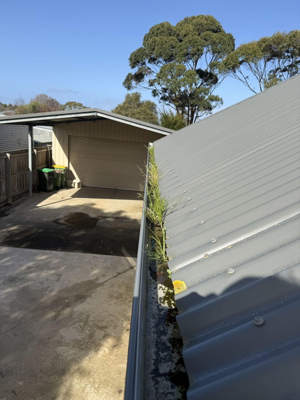 Gutter before cleaning