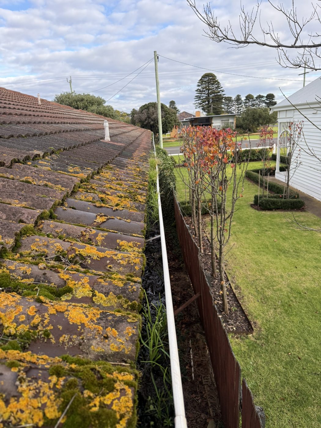 Gutter before cleaning