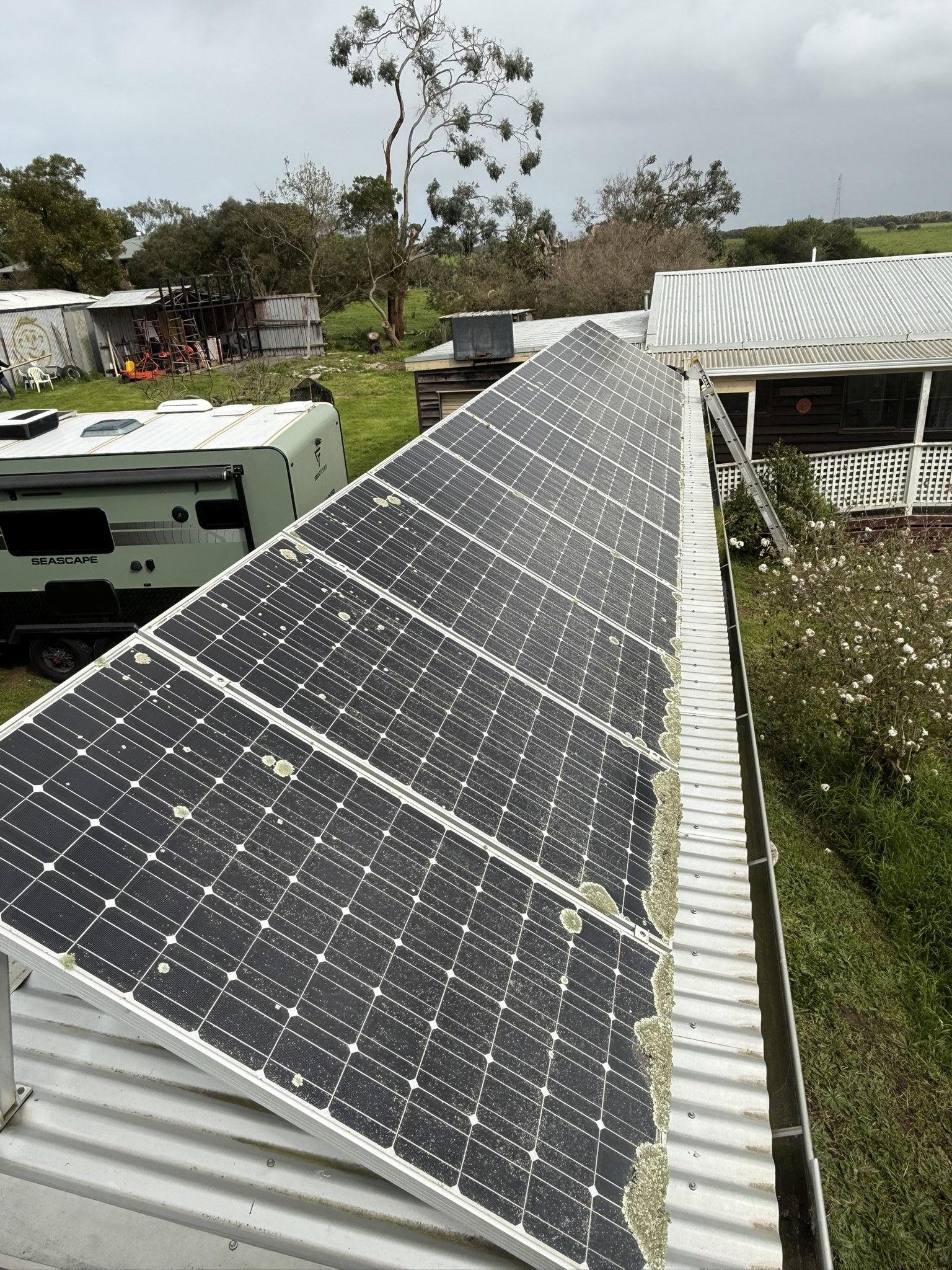 Solar panels before cleaning, covered in lichen and grime