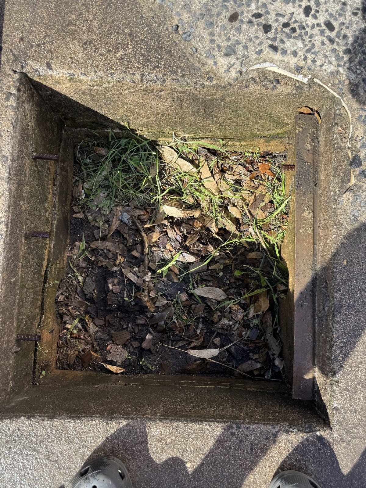 Stormwater drain before clearing