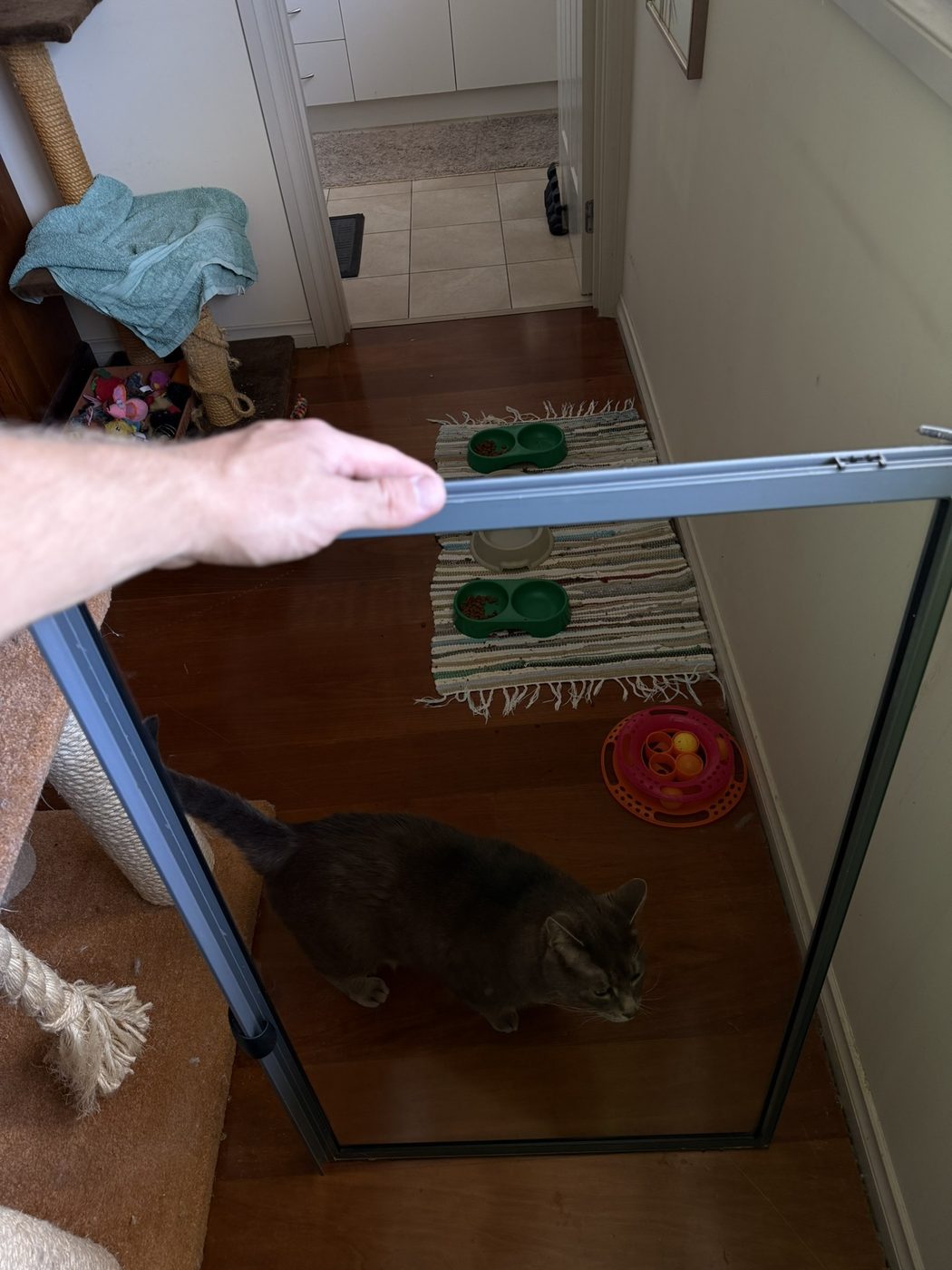 Window after cleaning